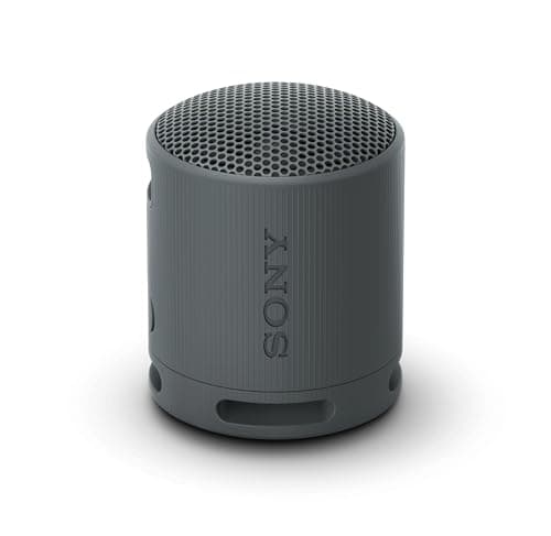Sony SRS-XB100 Wireless Ultra-portable Bluetooth Speaker – Sound Diffusion Processor with Hands-free Calling & Versatile Strap